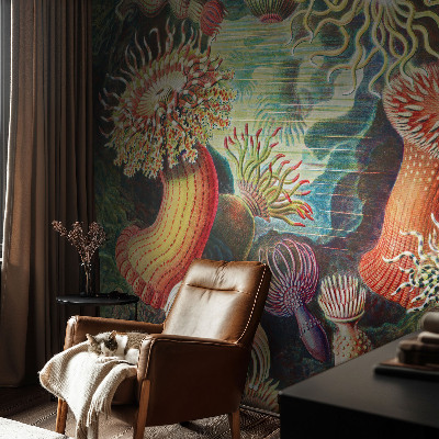 Flis fototapeta Domiselne anemone