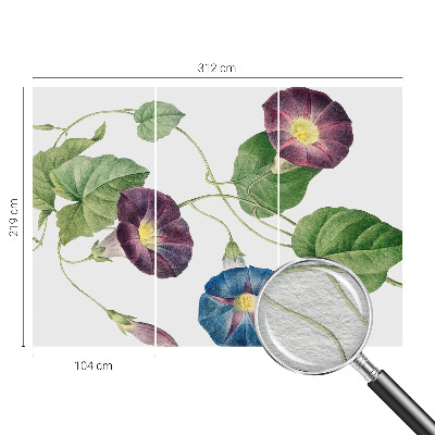 Fototapeta Cvetlična eleganca