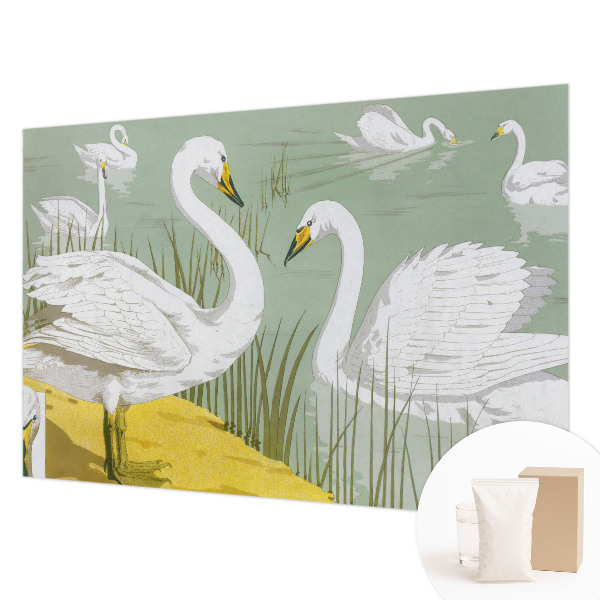 Netkana fototapeta Labodje jezero