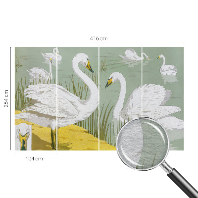 Netkana fototapeta Labodje jezero