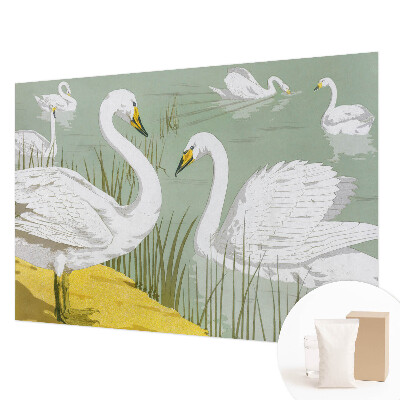 Netkana fototapeta Labodje jezero