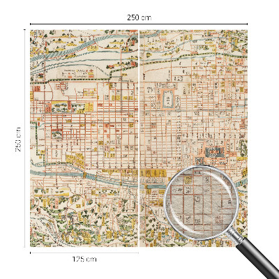 Fototapeta za steno Starinski zemljevid