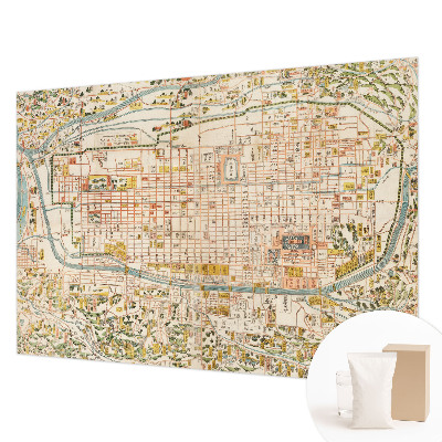 Fototapeta za steno Starinski zemljevid