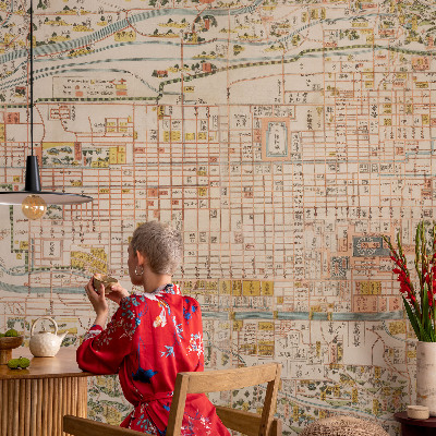 Fototapeta za steno Starinski zemljevid