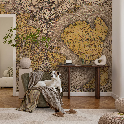 Fototapeta za spalnico Zgodovinska kartografija