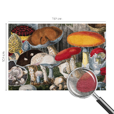 Moderna fototapeta Botanične gobe