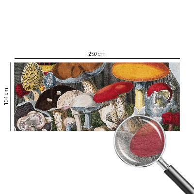 Moderna fototapeta Botanične gobe