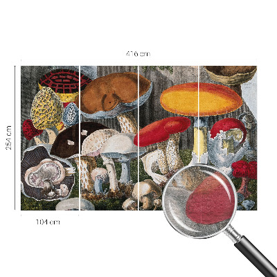 Moderna fototapeta Botanične gobe