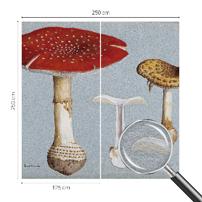 Stenska dekoracija fototapeta z motivom gravure gob