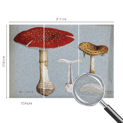 Stenska dekoracija fototapeta z motivom gravure gob
