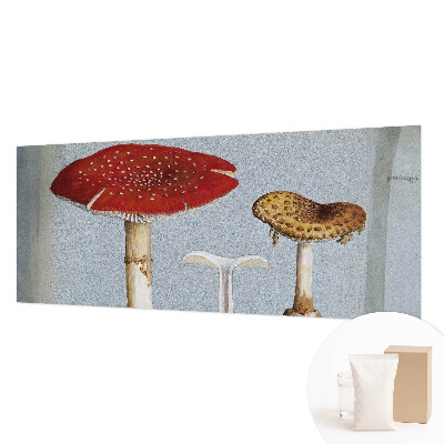 Stenska dekoracija fototapeta z motivom gravure gob