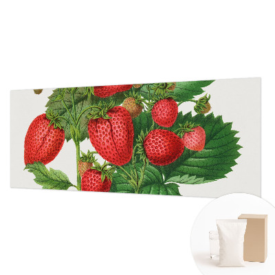 Fototapeta s tiskom s motivom poletnega sadja