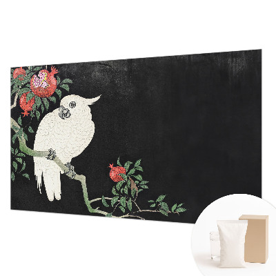 Tiskana fototapeta flis Papiga iz granatnega jabolka