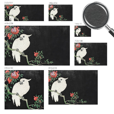 Tiskana fototapeta flis Papiga iz granatnega jabolka