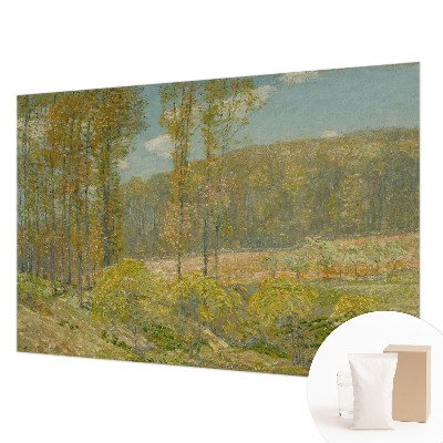 Moderna fototapeta z motivom gozdne pokrajine