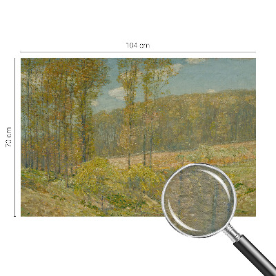Moderna fototapeta z motivom gozdne pokrajine
