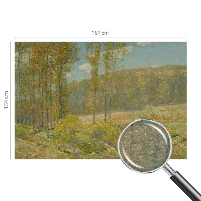 Moderna fototapeta z motivom gozdne pokrajine