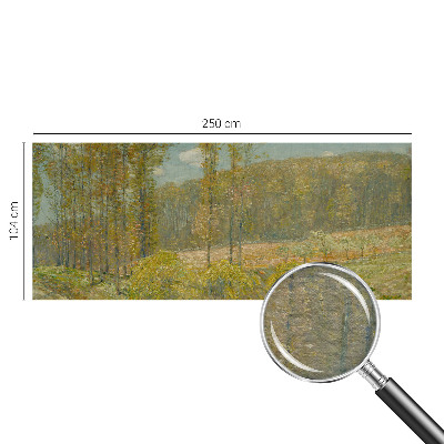 Moderna fototapeta z motivom gozdne pokrajine