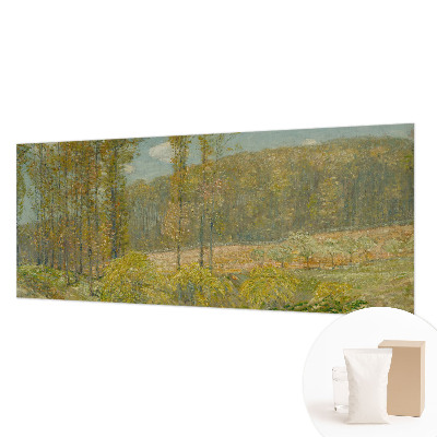 Moderna fototapeta z motivom gozdne pokrajine