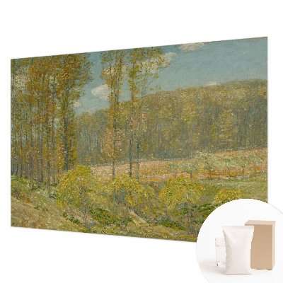 Moderna fototapeta z motivom gozdne pokrajine