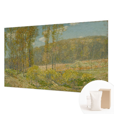 Moderna fototapeta z motivom gozdne pokrajine