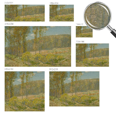 Moderna fototapeta z motivom gozdne pokrajine