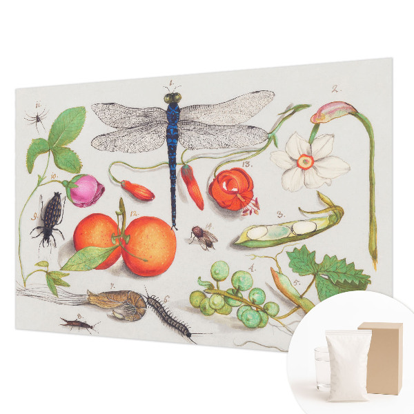 Fototapeta po meri Ilustracija narave