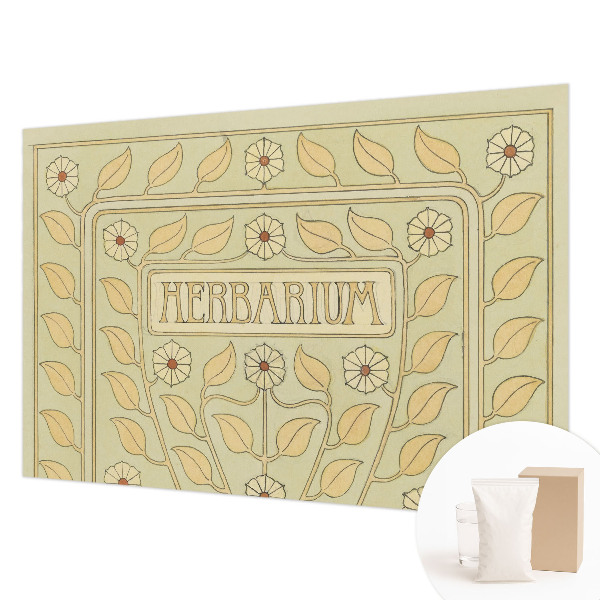 Fototapeta za spalnico Rastlinski okras