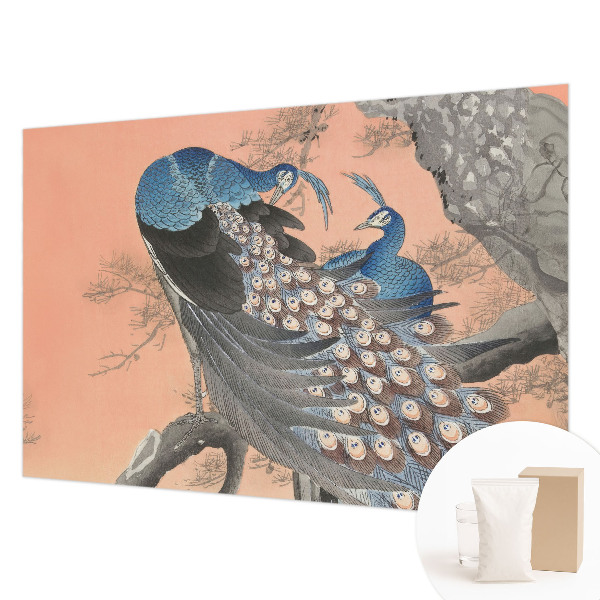 Dekorativna fototapeta Pavja eleganca