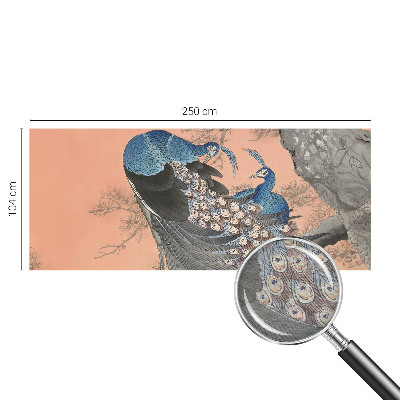 Dekorativna fototapeta Pavja eleganca