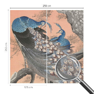 Dekorativna fototapeta Pavja eleganca