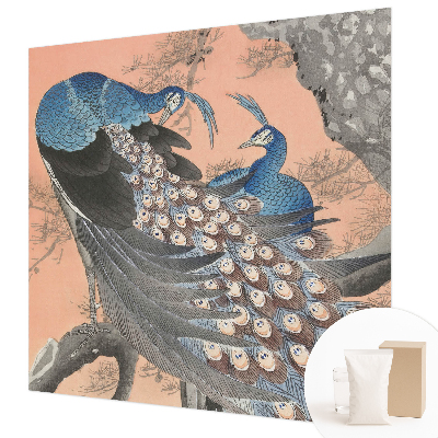 Dekorativna fototapeta Pavja eleganca