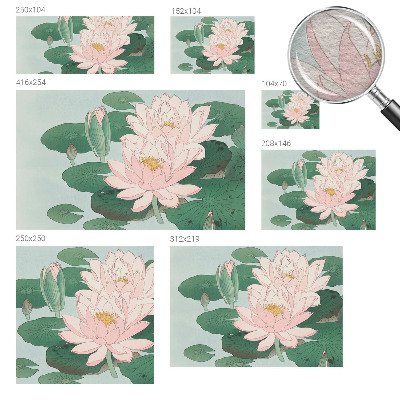 Visokokakovostna fototapeta Vodni lotos