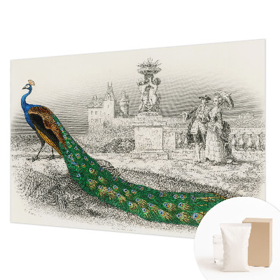 Stenska dekoracija fototapeta Barvito perje