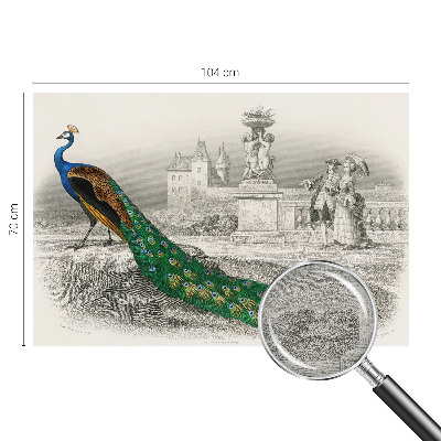 Stenska dekoracija fototapeta Barvito perje