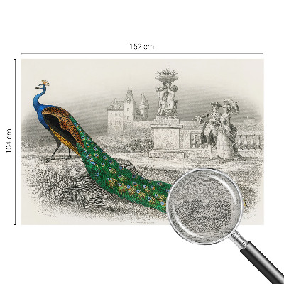 Stenska dekoracija fototapeta Barvito perje