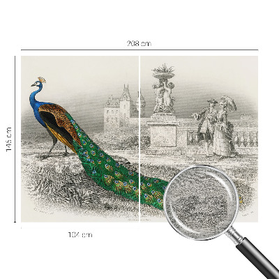 Stenska dekoracija fototapeta Barvito perje