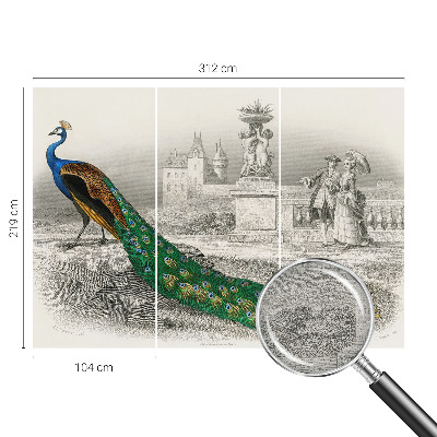 Stenska dekoracija fototapeta Barvito perje