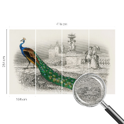 Stenska dekoracija fototapeta Barvito perje