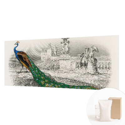 Stenska dekoracija fototapeta z motivom barvitega perja