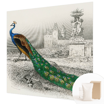 Stenska dekoracija fototapeta Barvito perje