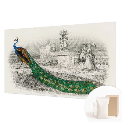 Stenska dekoracija fototapeta Barvito perje