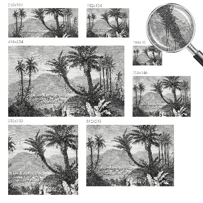 Foto tapeta Tropska oaza