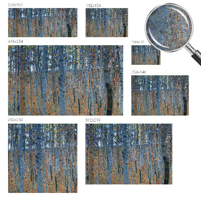 Tiskana fototapeta flis z motivom brezovega gozda