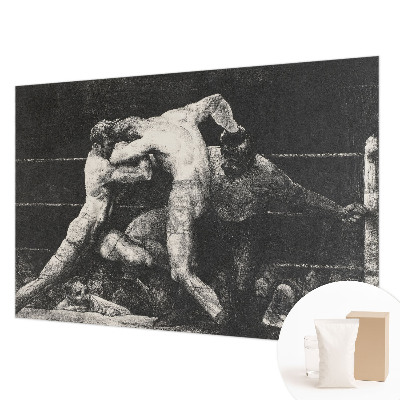 Visokokakovostna fototapeta z motivom boksarskega dvoboja