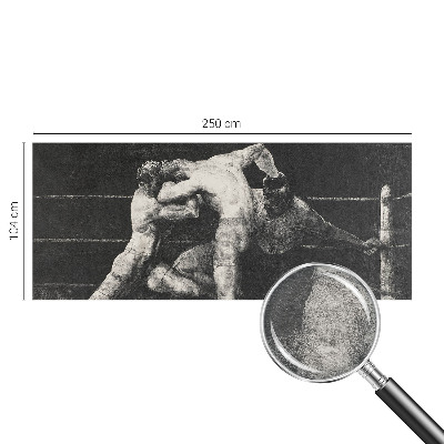 Visokokakovostna fototapeta z motivom boksarskega dvoboja