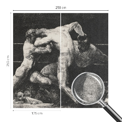 Visokokakovostna fototapeta z motivom boksarskega dvoboja