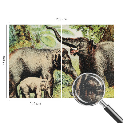 Foto tapeta Družinski sloni