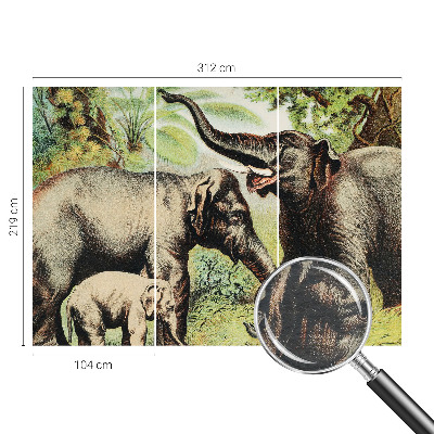 Foto tapeta Družinski sloni