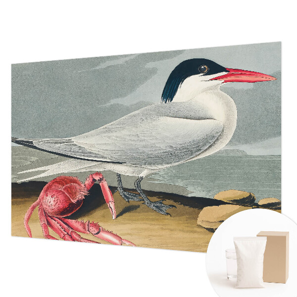 Fototapeta Morska pokrajina